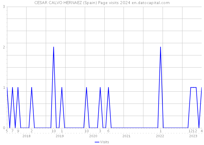 CESAR CALVO HERNAEZ (Spain) Page visits 2024 