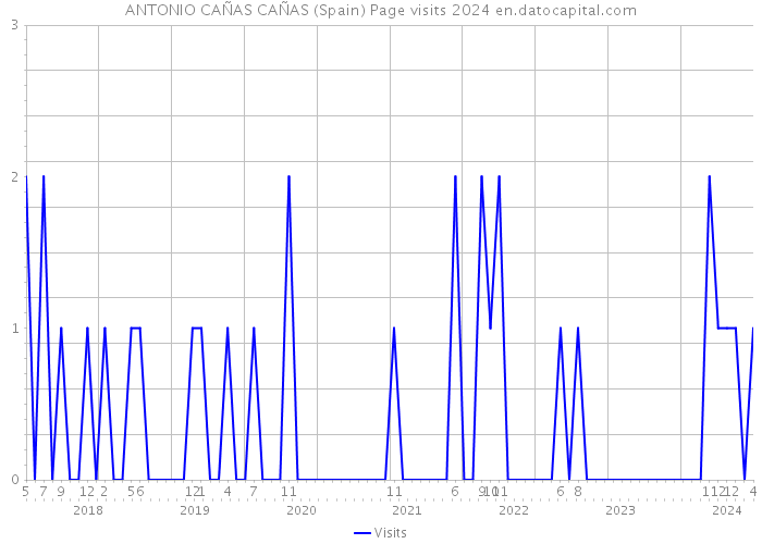 ANTONIO CAÑAS CAÑAS (Spain) Page visits 2024 