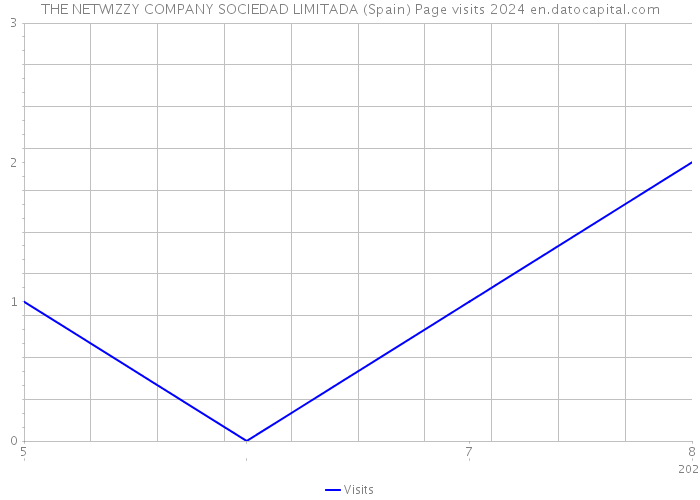 THE NETWIZZY COMPANY SOCIEDAD LIMITADA (Spain) Page visits 2024 