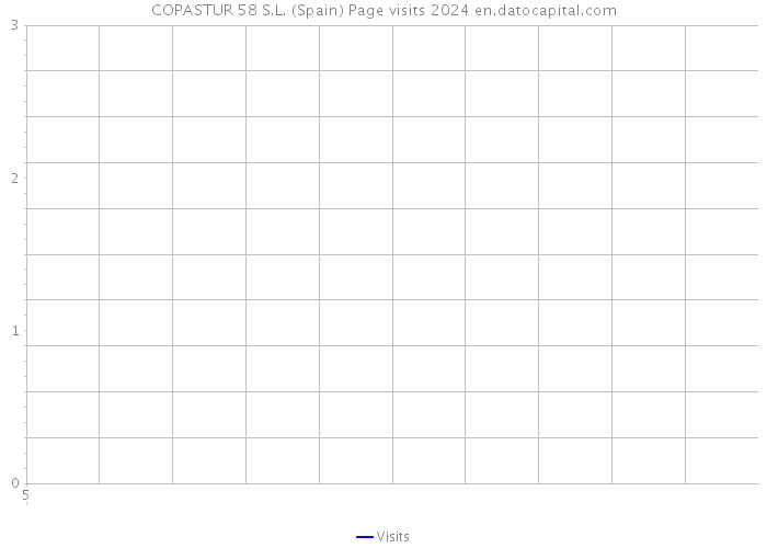 COPASTUR 58 S.L. (Spain) Page visits 2024 