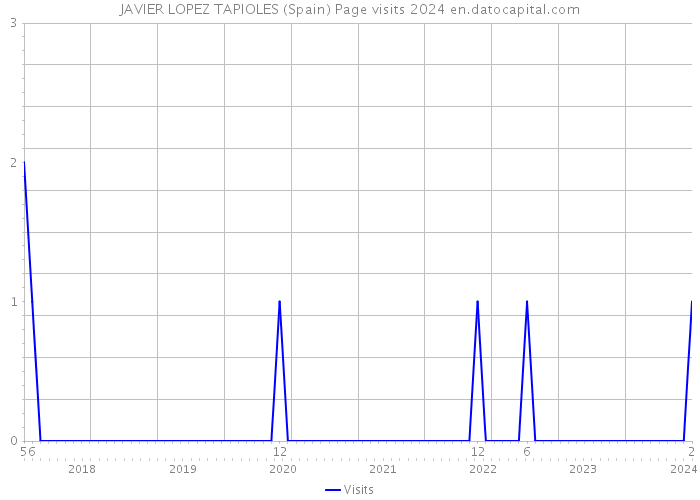 JAVIER LOPEZ TAPIOLES (Spain) Page visits 2024 