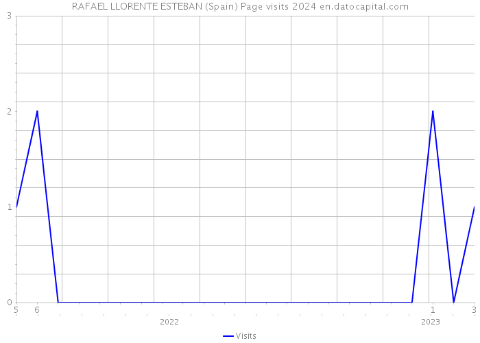 RAFAEL LLORENTE ESTEBAN (Spain) Page visits 2024 