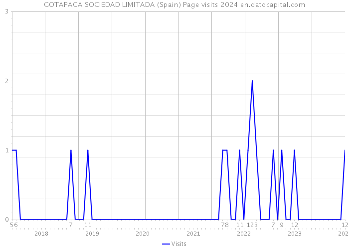 GOTAPACA SOCIEDAD LIMITADA (Spain) Page visits 2024 