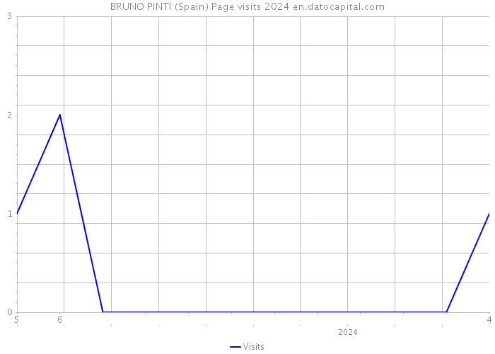 BRUNO PINTI (Spain) Page visits 2024 