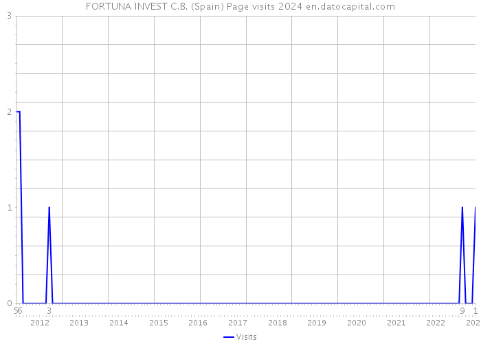 FORTUNA INVEST C.B. (Spain) Page visits 2024 