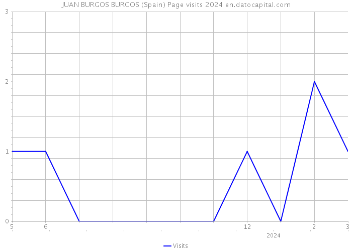 JUAN BURGOS BURGOS (Spain) Page visits 2024 