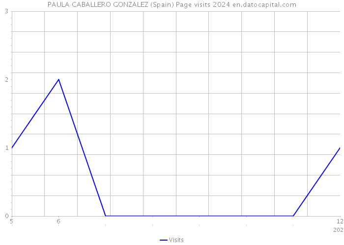 PAULA CABALLERO GONZALEZ (Spain) Page visits 2024 
