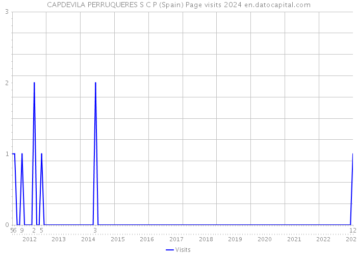 CAPDEVILA PERRUQUERES S C P (Spain) Page visits 2024 