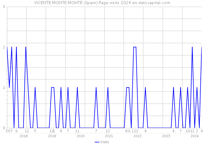 VICENTE MONTE MONTE (Spain) Page visits 2024 