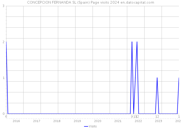 CONCEPCION FERNANDA SL (Spain) Page visits 2024 