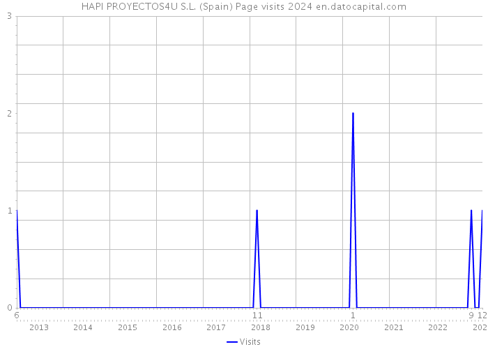 HAPI PROYECTOS4U S.L. (Spain) Page visits 2024 