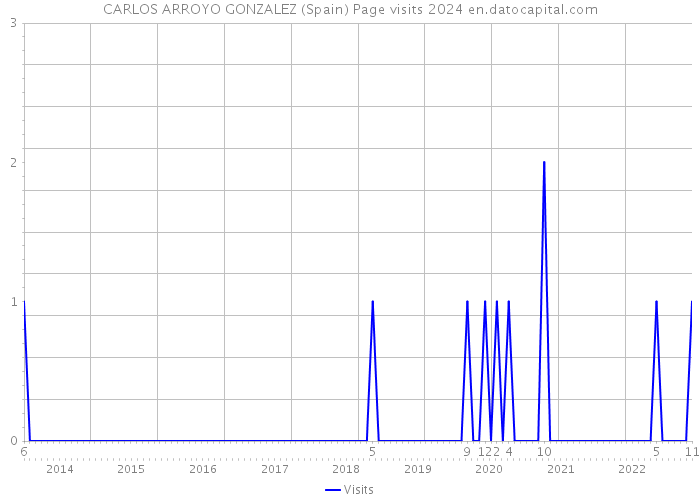CARLOS ARROYO GONZALEZ (Spain) Page visits 2024 
