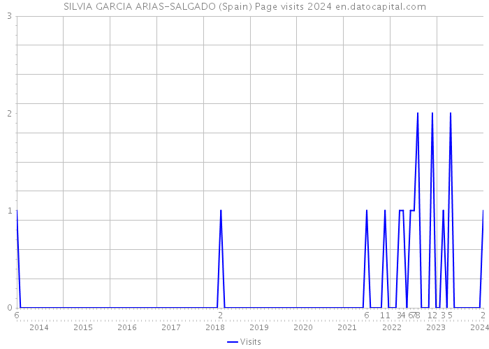 SILVIA GARCIA ARIAS-SALGADO (Spain) Page visits 2024 
