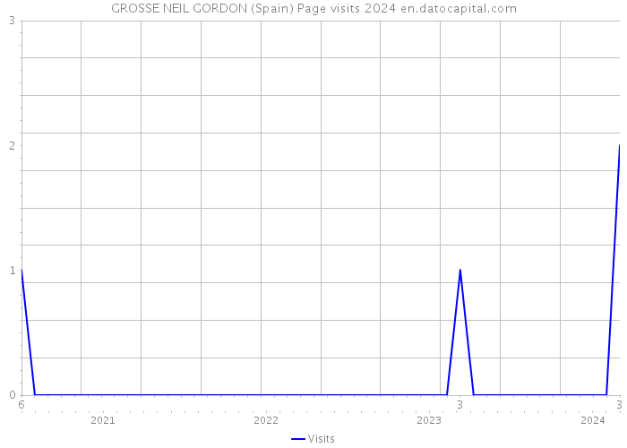 GROSSE NEIL GORDON (Spain) Page visits 2024 