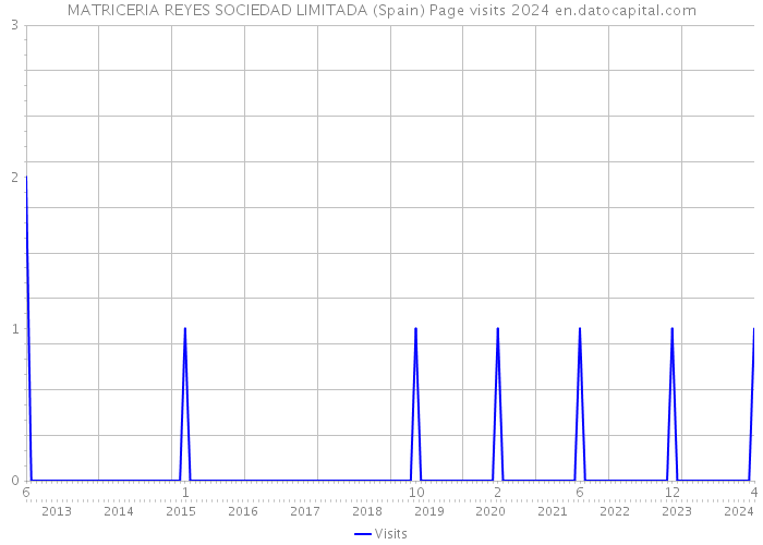 MATRICERIA REYES SOCIEDAD LIMITADA (Spain) Page visits 2024 