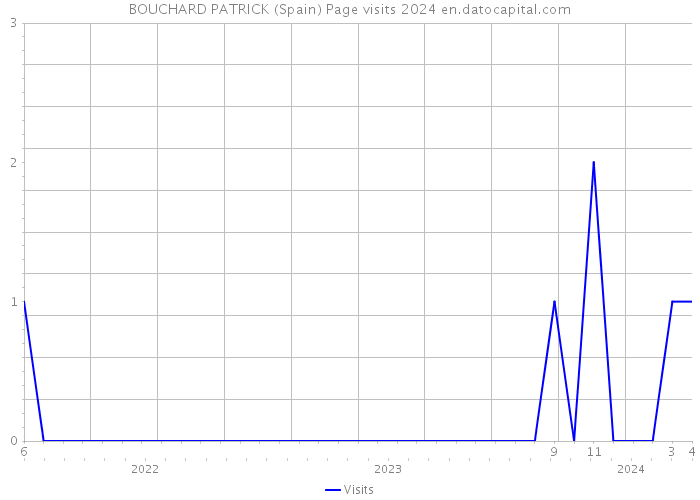 BOUCHARD PATRICK (Spain) Page visits 2024 