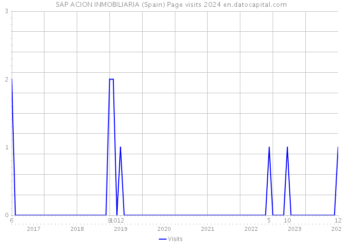 SAP ACION INMOBILIARIA (Spain) Page visits 2024 