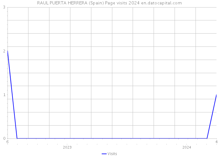 RAUL PUERTA HERRERA (Spain) Page visits 2024 