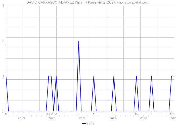 DAVID CARRASCO ALVAREZ (Spain) Page visits 2024 