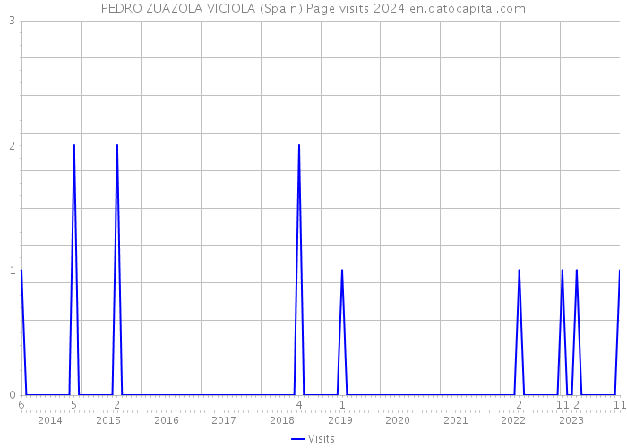 PEDRO ZUAZOLA VICIOLA (Spain) Page visits 2024 