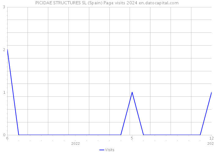 PICIDAE STRUCTURES SL (Spain) Page visits 2024 