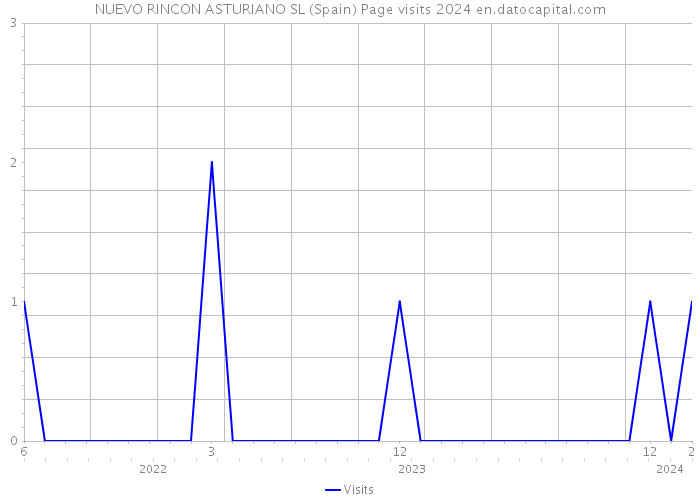 NUEVO RINCON ASTURIANO SL (Spain) Page visits 2024 