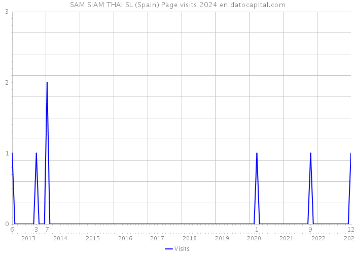 SAM SIAM THAI SL (Spain) Page visits 2024 
