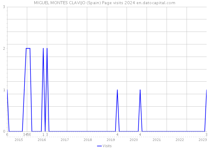 MIGUEL MONTES CLAVIJO (Spain) Page visits 2024 
