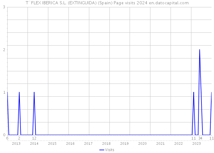 T`FLEX IBERICA S.L. (EXTINGUIDA) (Spain) Page visits 2024 