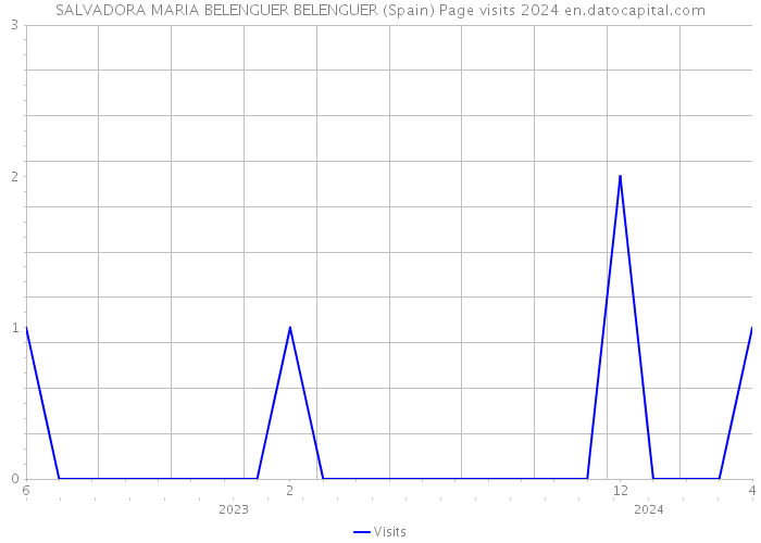 SALVADORA MARIA BELENGUER BELENGUER (Spain) Page visits 2024 