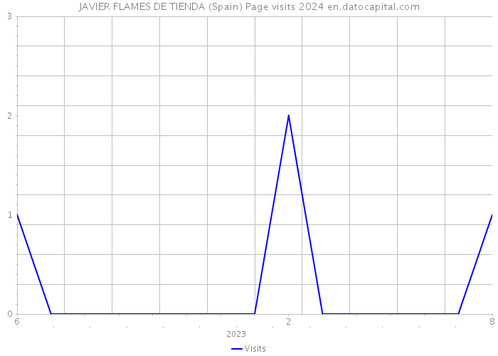 JAVIER FLAMES DE TIENDA (Spain) Page visits 2024 
