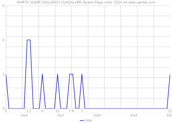 MARTA SOLER GALLARDO GUADALUPE (Spain) Page visits 2024 