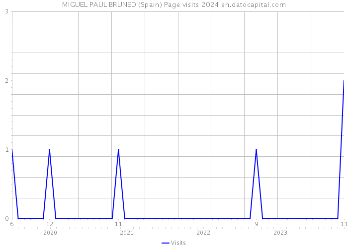 MIGUEL PAUL BRUNED (Spain) Page visits 2024 