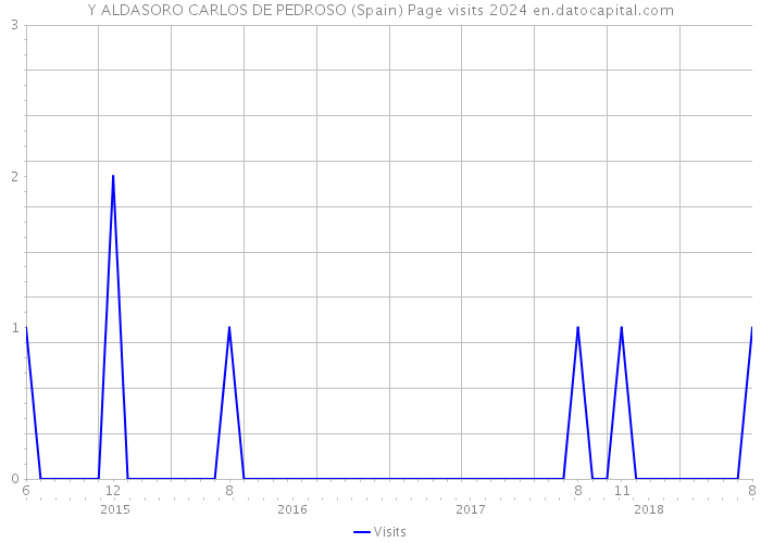 Y ALDASORO CARLOS DE PEDROSO (Spain) Page visits 2024 