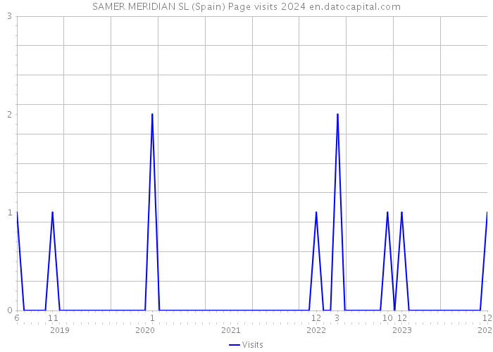 SAMER MERIDIAN SL (Spain) Page visits 2024 