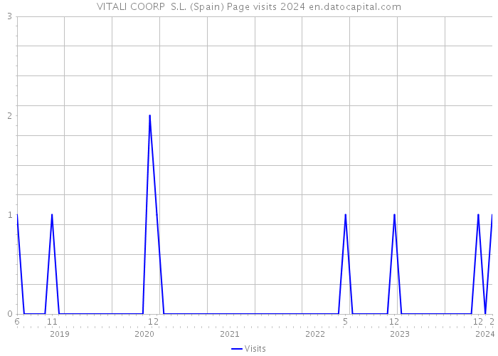 VITALI COORP S.L. (Spain) Page visits 2024 