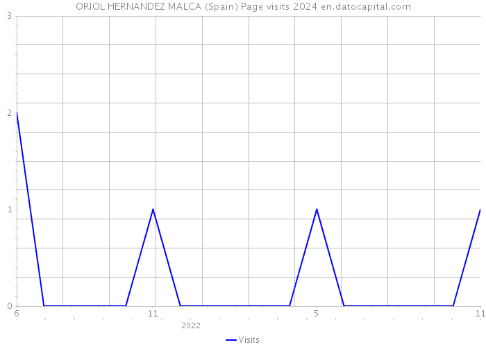 ORIOL HERNANDEZ MALCA (Spain) Page visits 2024 