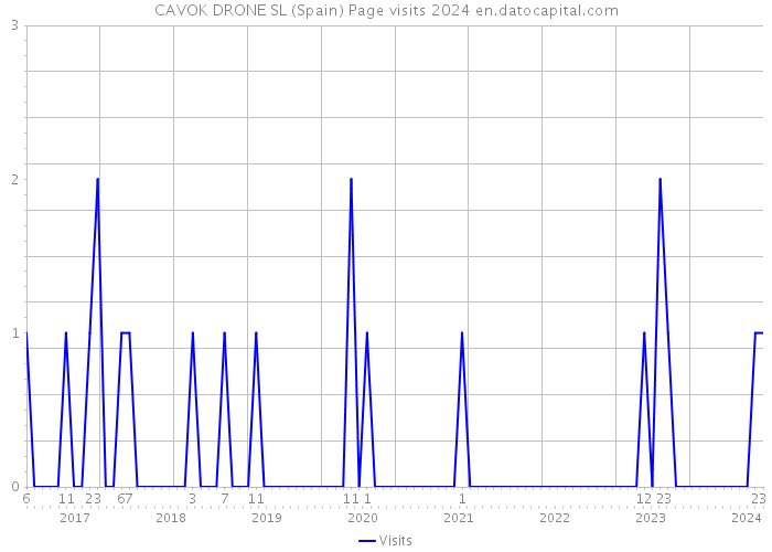 CAVOK DRONE SL (Spain) Page visits 2024 