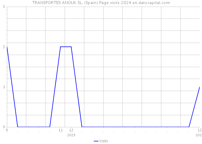 TRANSPORTES ANOUK SL. (Spain) Page visits 2024 