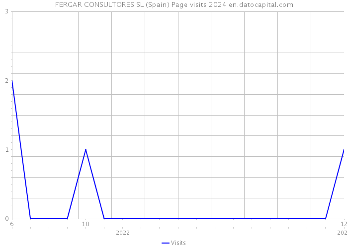 FERGAR CONSULTORES SL (Spain) Page visits 2024 