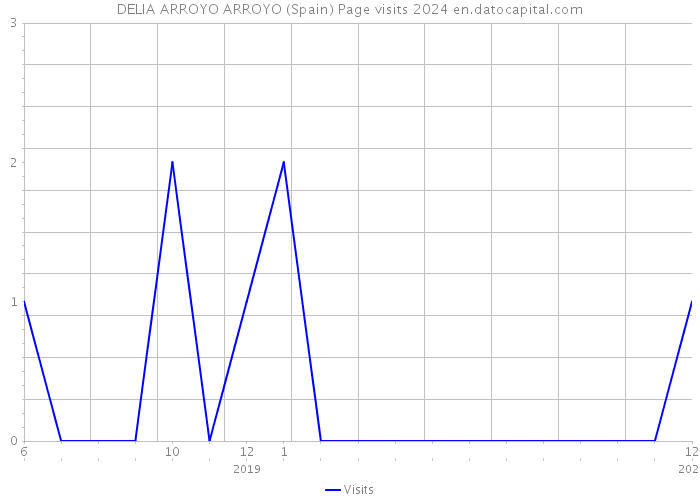 DELIA ARROYO ARROYO (Spain) Page visits 2024 