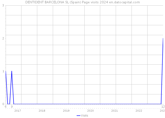 DENTIDENT BARCELONA SL (Spain) Page visits 2024 