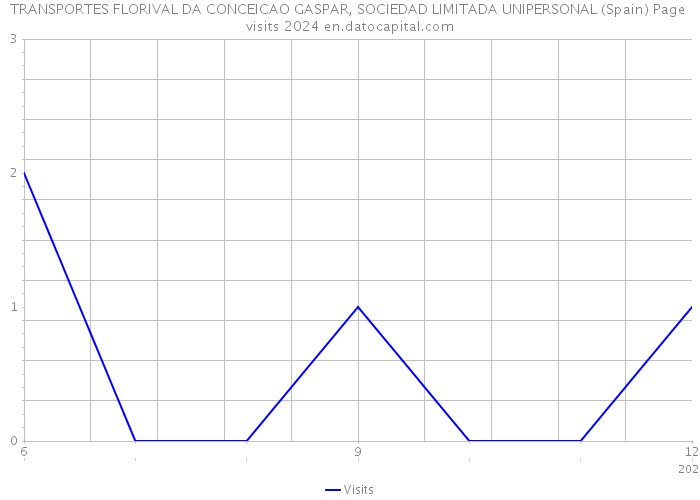 TRANSPORTES FLORIVAL DA CONCEICAO GASPAR, SOCIEDAD LIMITADA UNIPERSONAL (Spain) Page visits 2024 