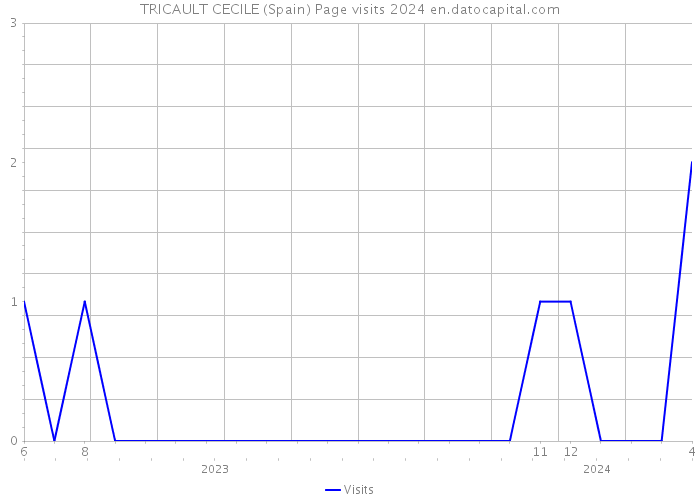TRICAULT CECILE (Spain) Page visits 2024 