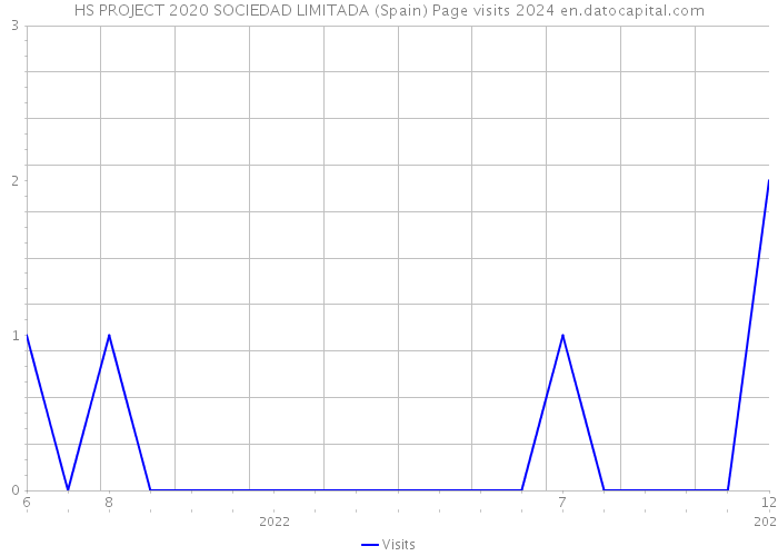 HS PROJECT 2020 SOCIEDAD LIMITADA (Spain) Page visits 2024 
