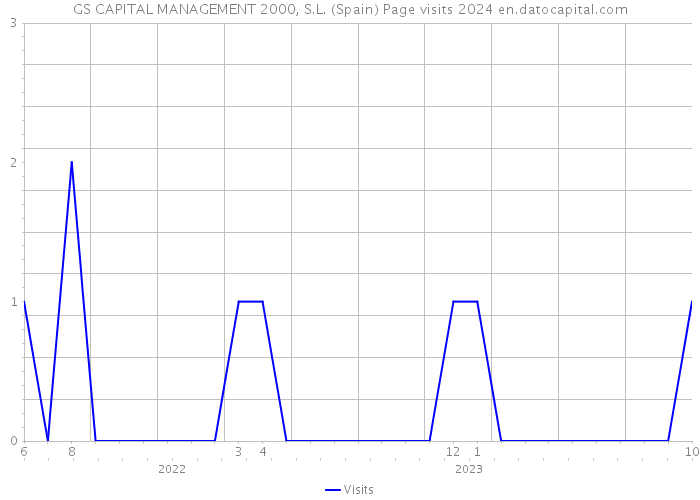 GS CAPITAL MANAGEMENT 2000, S.L. (Spain) Page visits 2024 