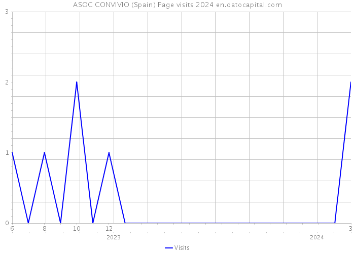 ASOC CONVIVIO (Spain) Page visits 2024 