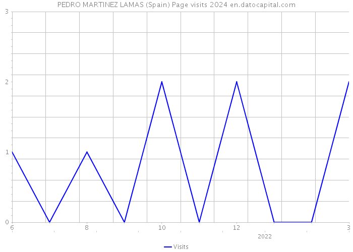 PEDRO MARTINEZ LAMAS (Spain) Page visits 2024 