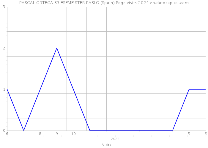 PASCAL ORTEGA BRIESEMEISTER PABLO (Spain) Page visits 2024 