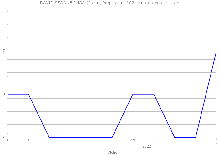 DAVID SEOANE PUGA (Spain) Page visits 2024 